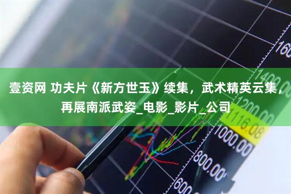壹资网 功夫片《新方世玉》续集，武术精英云集，再展南派武姿_电影_影片_公司