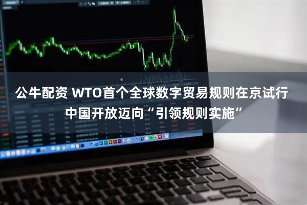 公牛配资 WTO首个全球数字贸易规则在京试行 中国开放迈向“引领规则实施”
